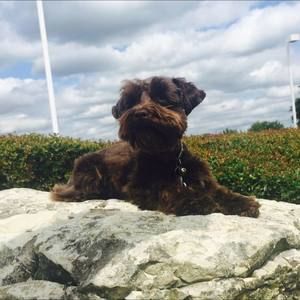 Meet your Posher, Joetta